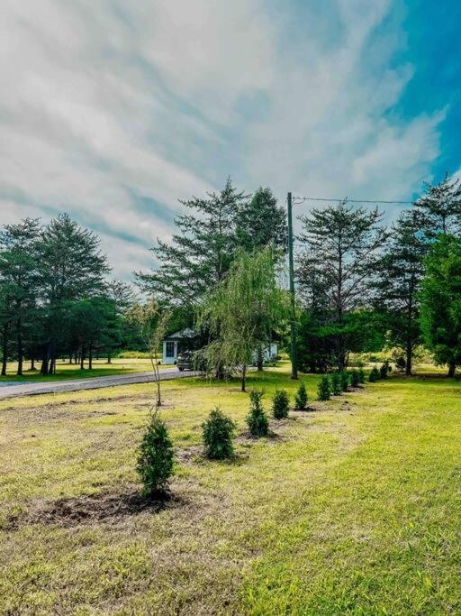 Southern Charm 3Br Fire Pit Pool Table 7Beds เซอเวียร์วีล ภายนอก รูปภาพ
